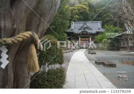 白濱神社【靜岡縣下田市白濱】 113379209