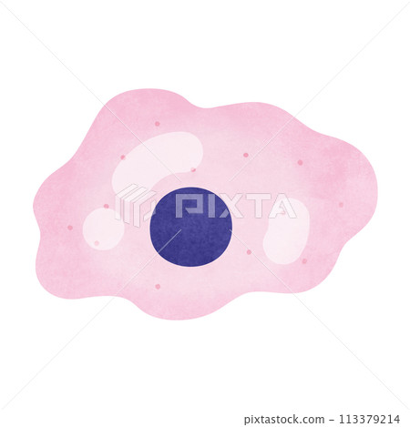 Macrophage Macrophage 113379214