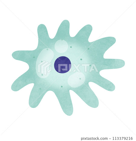 Dendritic cells Dendritic cells 113379216