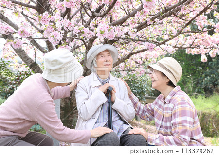 Two daughters sit their 90-year-old mother in front of the cherry blossoms 113379262