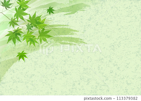 新綠色楓葉背景 113379382