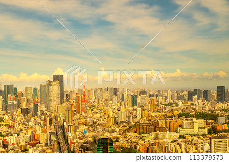 Tokyo evening landscape Tokyo evening landscape 113379573