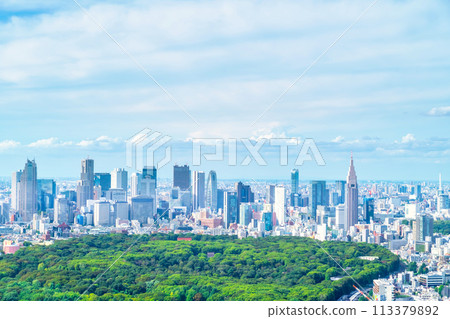 東京新宿摩天大樓 東京新宿摩天大樓 113379892
