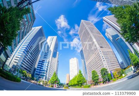 Shinjuku Skyscrapers Shinjuku Skyscrapers 113379900