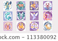 12 constellations icon fortune telling 113380092