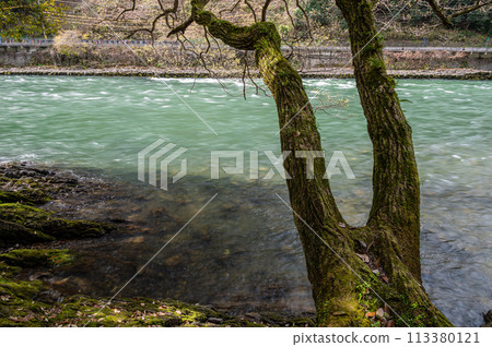 Uji River scenery Uji City, Kyoto Prefecture 113380121
