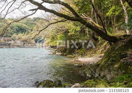 Uji River scenery Uji City, Kyoto Prefecture Uji River scenery Uji City, Kyoto Prefecture 113380123