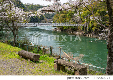 Uji River seen from a small park near Amagase Bridge with cherry blossoms in bloom Uji River seen from a small park near Amagase Bridge with cherry blossoms in bloom 113380274