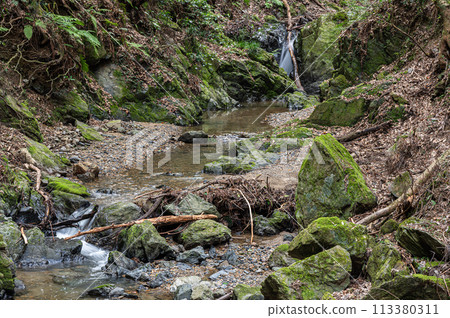 A mountain stream flowing into the Uji River, Momiji Valley, Uji City, Kyoto Prefecture A mountain stream flowing into the Uji River, Momiji Valley, Uji City, Kyoto Prefecture 113380311
