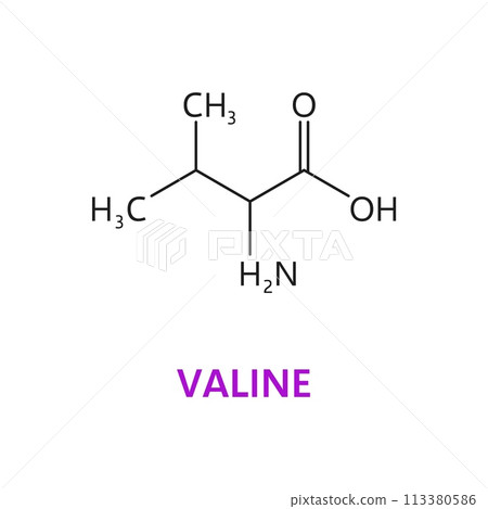 Valine, an essential amino acid, has a branched aliphatic side chain. Vector scientific scheme or molecular structure includes a central carbon atom bonded to hydrogen, methyl, and amino groups Valine, an essential amino acid, has a branched aliphatic side chain. Vector scientific scheme or molecular structure includes a central carbon atom bonded to hydrogen, methyl, and amino groups 113380586
