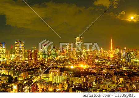 Tokyo night view 113380833