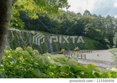 山梨縣/“花宮公園”八月風景 113380956