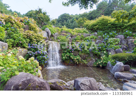 Yamanashi Prefecture's "Hana no Miyako Park" - Waterfall and pond surrounded by hydrangeas, August 113380961