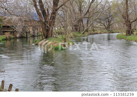 Azumino in early spring, a watermill at Daio Wasabi Farm Azumino in early spring, a watermill at Daio Wasabi Farm 113381239