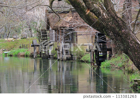 Azumino in early spring, a watermill at Daio Wasabi Farm Azumino in early spring, a watermill at Daio Wasabi Farm 113381263