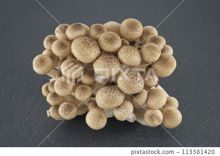 Brown beech mushrooms arranged on black stone plate 113381420