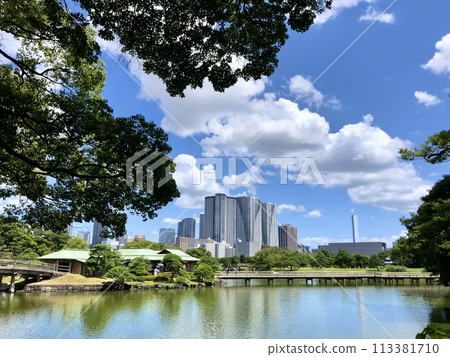 Hama-rikyu Gardens in Summer Hama-rikyu Gardens in Summer 113381710