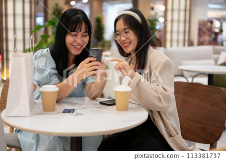 Two Asian female friends are enjoying talking while sitting together in a cafe in the shopping mall. Two Asian female friends are enjoying talking while sitting together in a cafe in the shopping mall. 113381737