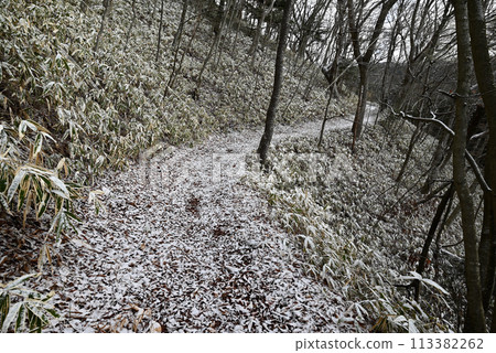 Climbing Mount Yamizo, the highest peak in Ibaraki Prefecture 113382262