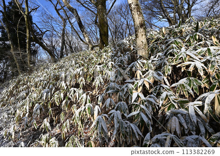 Climbing Mount Yamizo, the highest peak in Ibaraki Prefecture Climbing Mount Yamizo, the highest peak in Ibaraki Prefecture 113382269