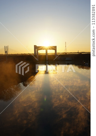 清晨的陽光 113382891