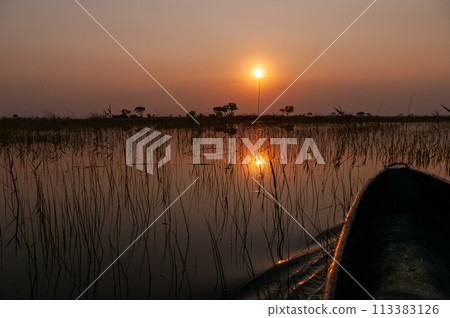 Sunset in the Okavango Delta 113383126