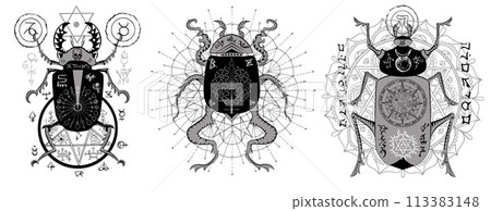 Design vector set with mystic decorated bugs and esoteric symbols isolated on white, hand drawn line art. No foreign language, all signs are fantasy ones.  Design vector set with mystic decorated bugs and esoteric symbols isolated on white, hand drawn line art. No foreign language, all signs are fantasy ones.  113383148