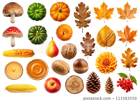 Autumn Objects, Generative AI 113383550