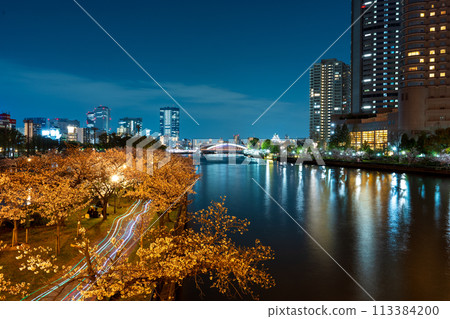 大川沿岸盛開的櫻花和從源二橋拍攝的大阪城夜景 | 毛馬櫻之宮公園圖片 | 大阪府大阪市 大川沿岸盛開的櫻花和從源二橋拍攝的大阪城夜景 | 毛馬櫻之宮公園圖片 | 大阪府大阪市 113384200