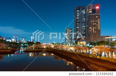 大川沿岸盛開的櫻花和從源二橋拍攝的大阪城夜景 | 毛馬櫻之宮公園圖片 | 大阪府大阪市 113384202
