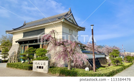 藍天和盛開的櫻花映襯下的岡崎城大手門(岡崎城公園/愛知縣岡崎市) 藍天和盛開的櫻花映襯下的岡崎城大手門(岡崎城公園/愛知縣岡崎市) 113384476