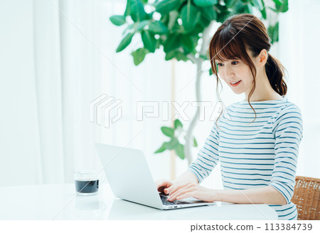 A woman using a laptop in a cafe. 113384739