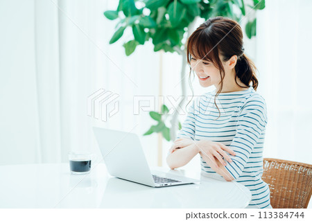 A woman using a laptop in a cafe. 113384744