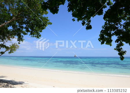 Koh Rok (Rok Island) is a small archipelago in southern Thailand in the Andaman Sea 113385232