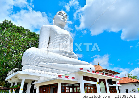 White Buddha in Kandy, the ancient capital of Sri Lanka 113385361