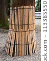 bamboo  for interior or exterior design. 113385550