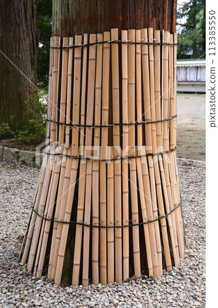 bamboo for interior or exterior design. bamboo for interior or exterior design. 113385550