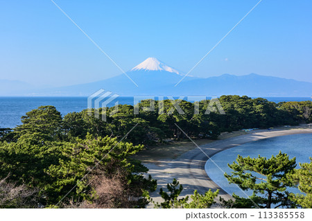 Mount Fuji and Cape Mihama 113385558