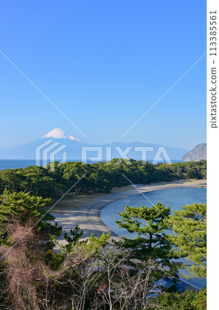 Mount Fuji and Cape Mihama 113385561