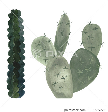Set of cacti. Plants for the home. Floriculture. Desert flora. Isolated watercolor illustration on white background. Clipart. Set of cacti. Plants for the home. Floriculture. Desert flora. Isolated watercolor illustration on white background. Clipart. 113385775