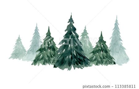 Christmas trees in spruce fir forest watercolor illustration isolated on white for winter holidays horizontal banner and landscape 113385811