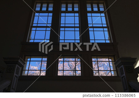 透過舊京都府本廳舍的玻璃窗可以看到垂枝櫻花 113386065