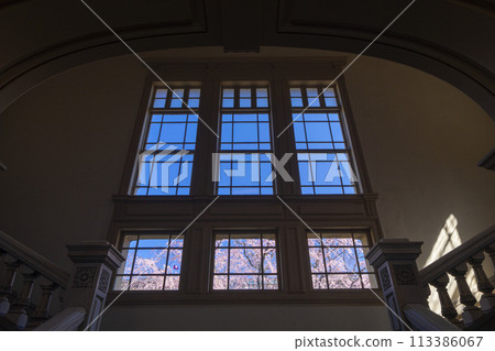 Former Kyoto Prefectural Government Building: Weeping cherry blossoms seen through the glass windows Former Kyoto Prefectural Government Building: Weeping cherry blossoms seen through the glass windows 113386067