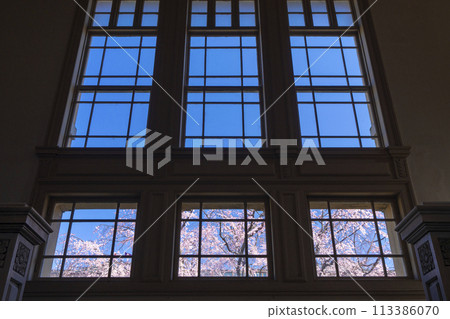 Former Kyoto Prefectural Government Building: Weeping cherry blossoms seen through the glass windows 113386070