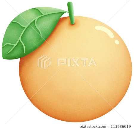 Citrus fruits that are high in vitamins Citrus fruits that are high in vitamins 113386619