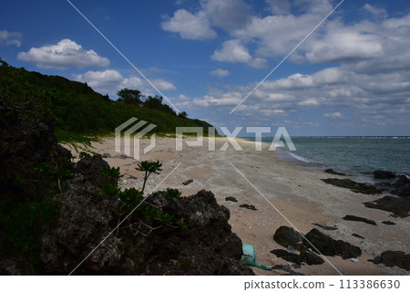 Sunny beach 113386630