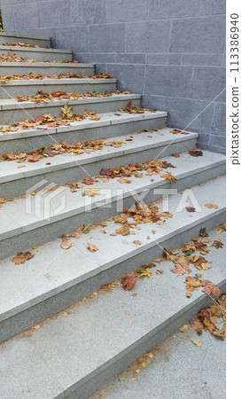 Fallen autumn leaves scattered on concrete steps Fallen autumn leaves scattered on concrete steps 113386940