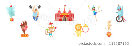 Circus Artist Character with Elephant, Strongman, Woman Acrobat, Rhino, Bear, Monkey and Lion Vector Set 113387163