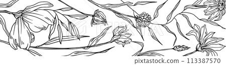 Floral Sketch Hand Drawn Background, Wild Flowers Banner Floral Sketch Hand Drawn Background, Wild Flowers Banner 113387570