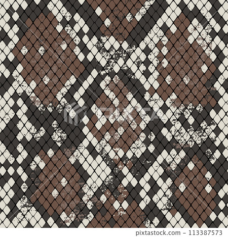 Snake Skin, Animal Print Seamless Pattern Snake Skin, Animal Print Seamless Pattern 113387573